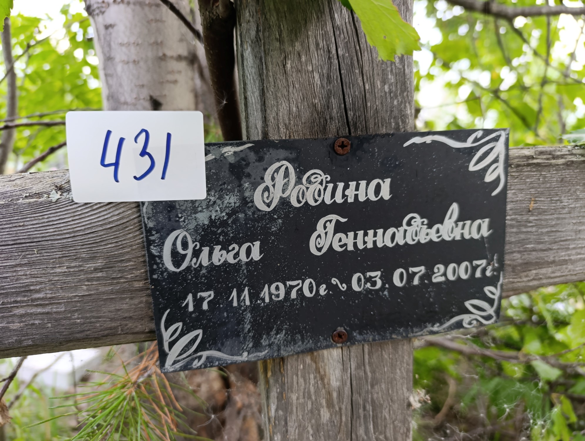 Родина Ольга Геннадьевна