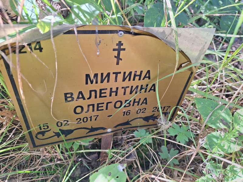 Митина