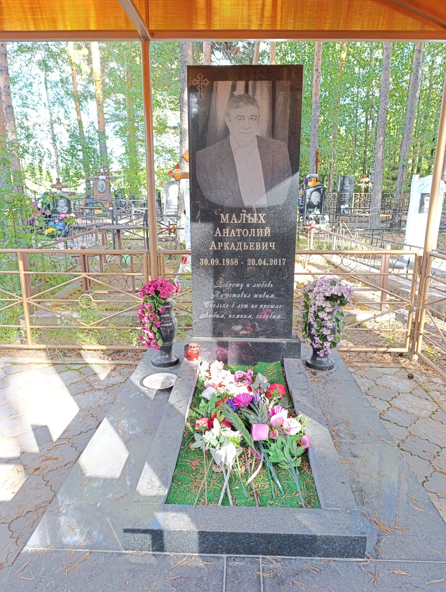 Малых Анатолий Аркадьевич