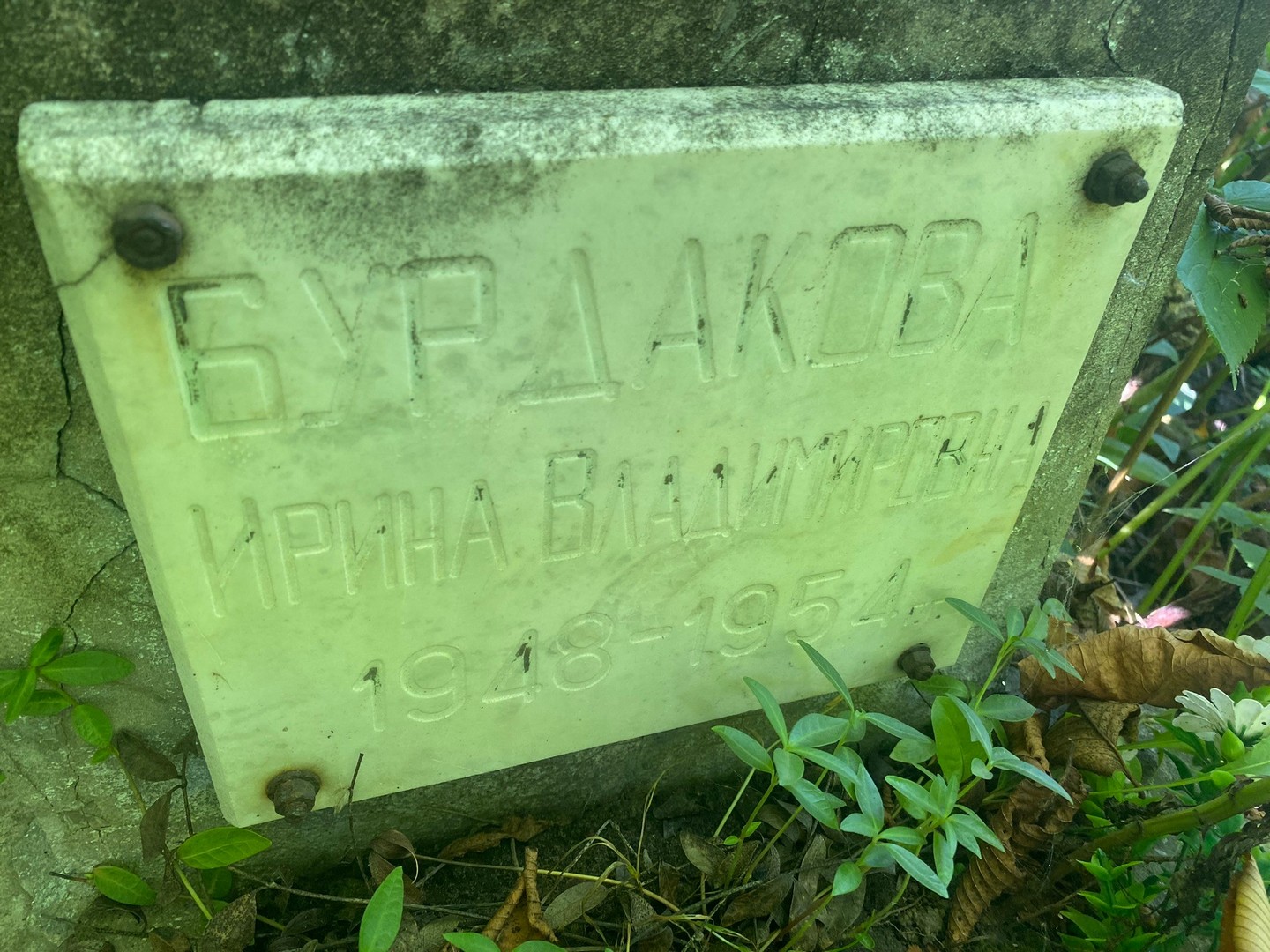 Бурдакова