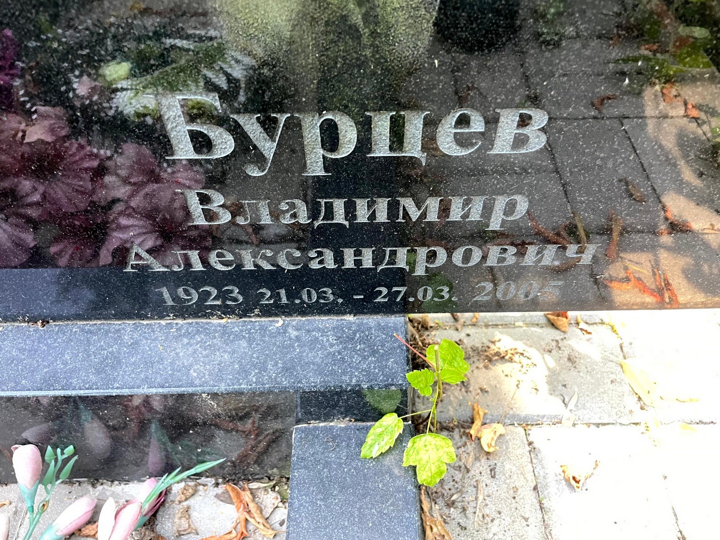 Бурцев