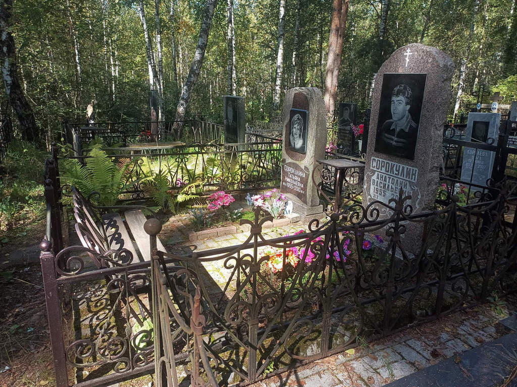 Сорокулин Анатолий Васильевич