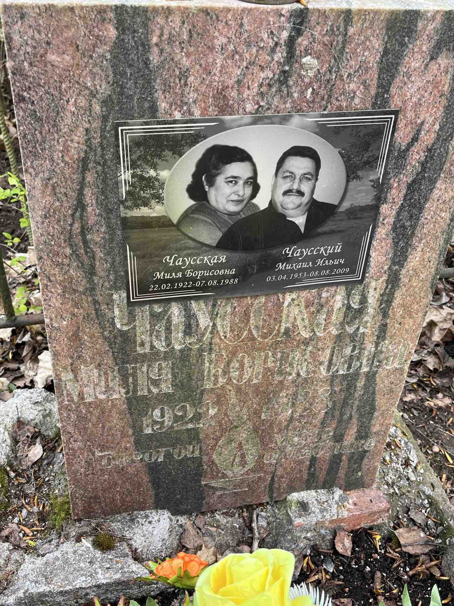 Чаусская Миля Борисовна