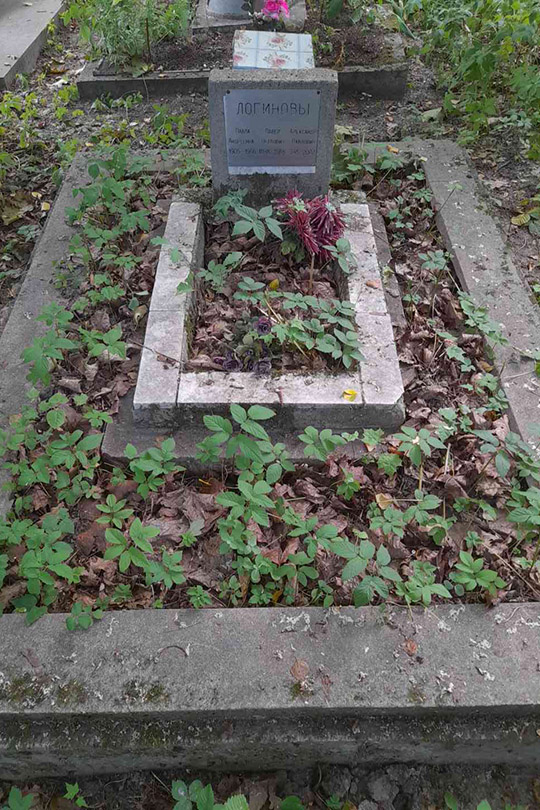 Логинов Александр Павлович