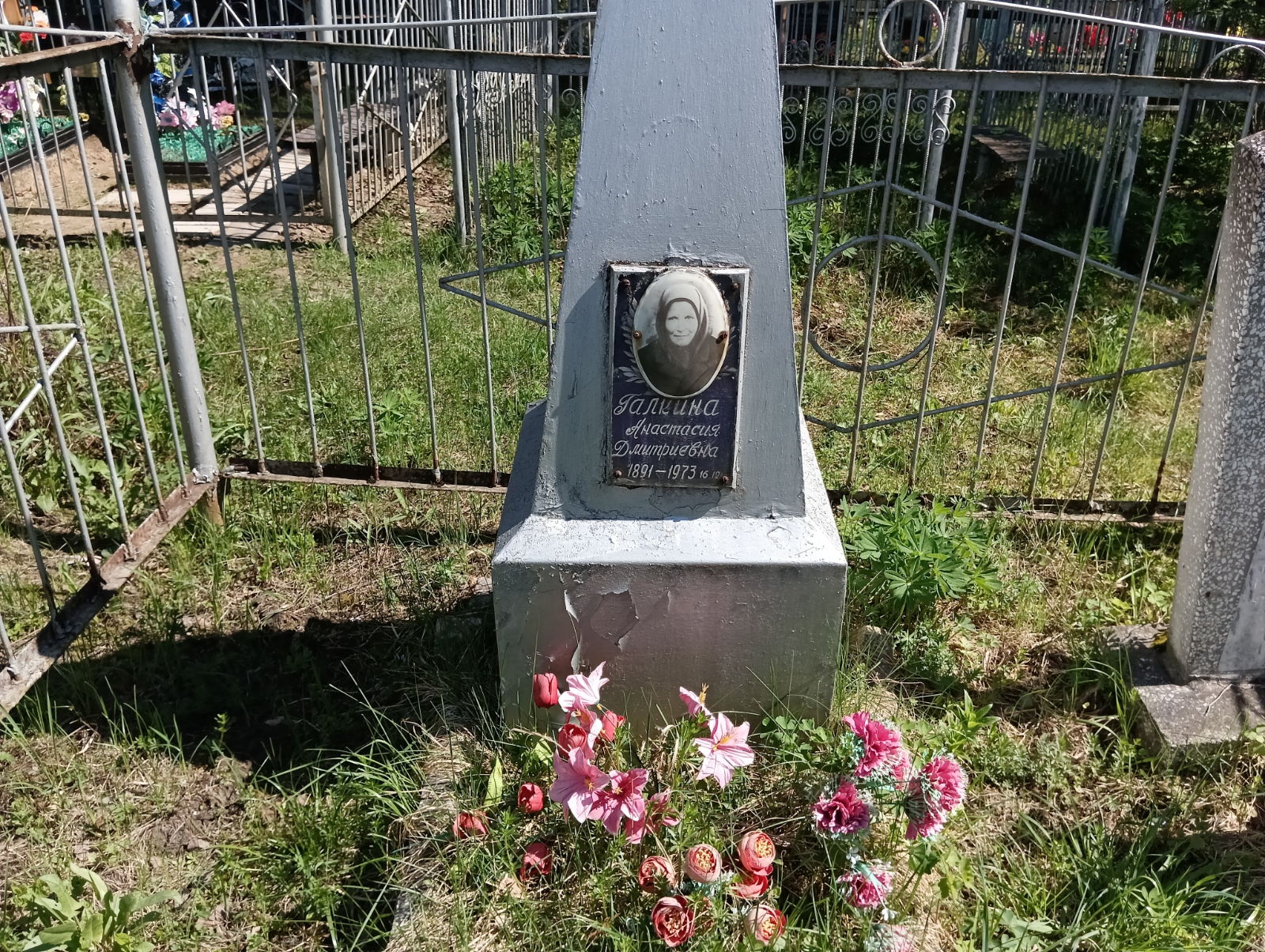 Галкина Анастасия Дмитриевна