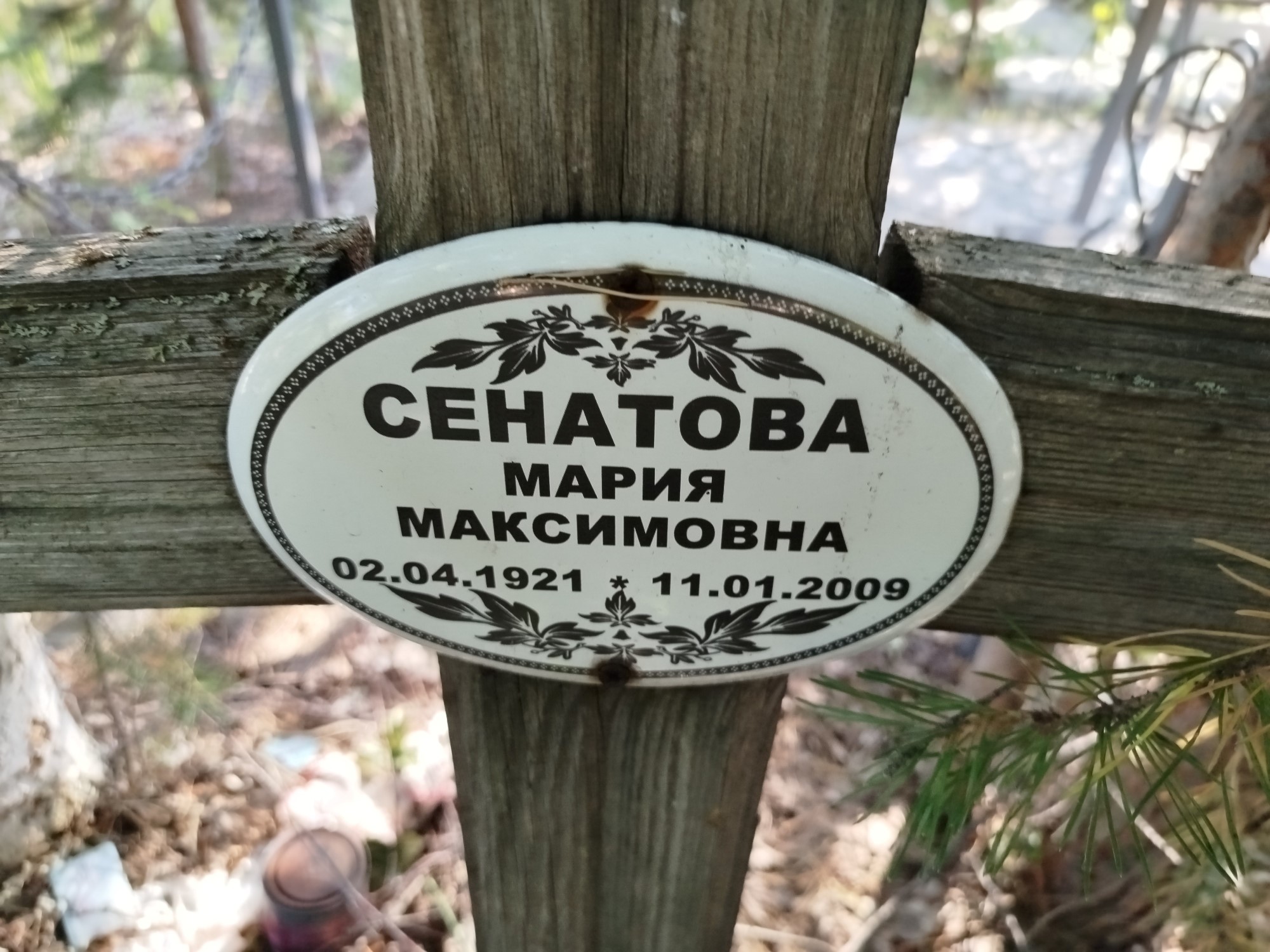 Сенатова Мария Максимовна
