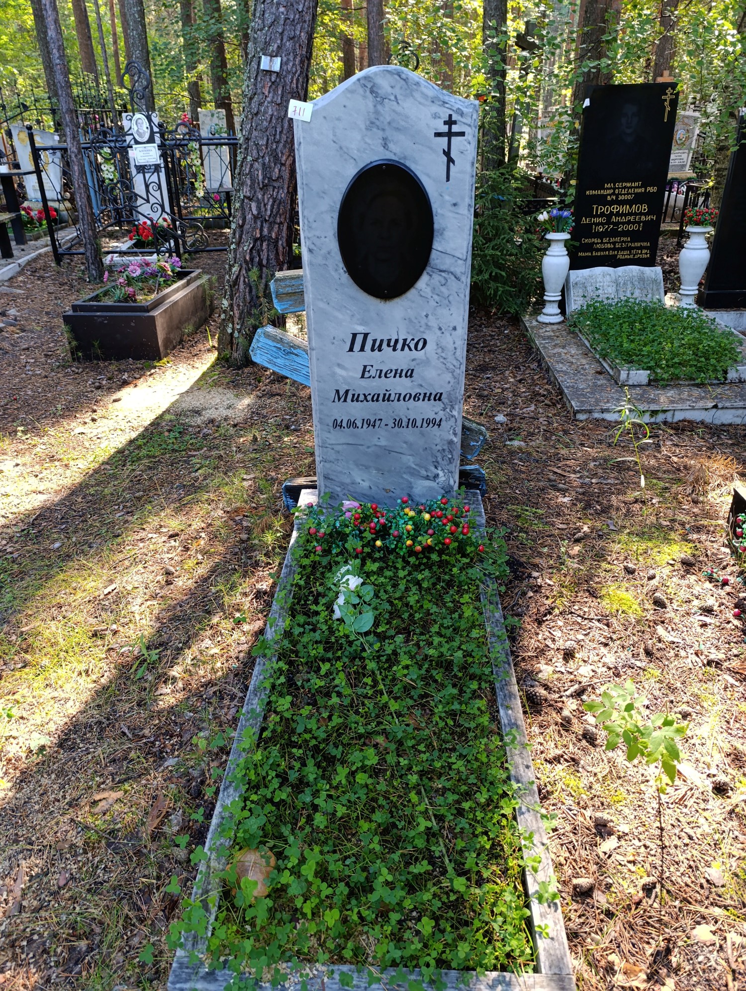 Пичко Елена Михайловна