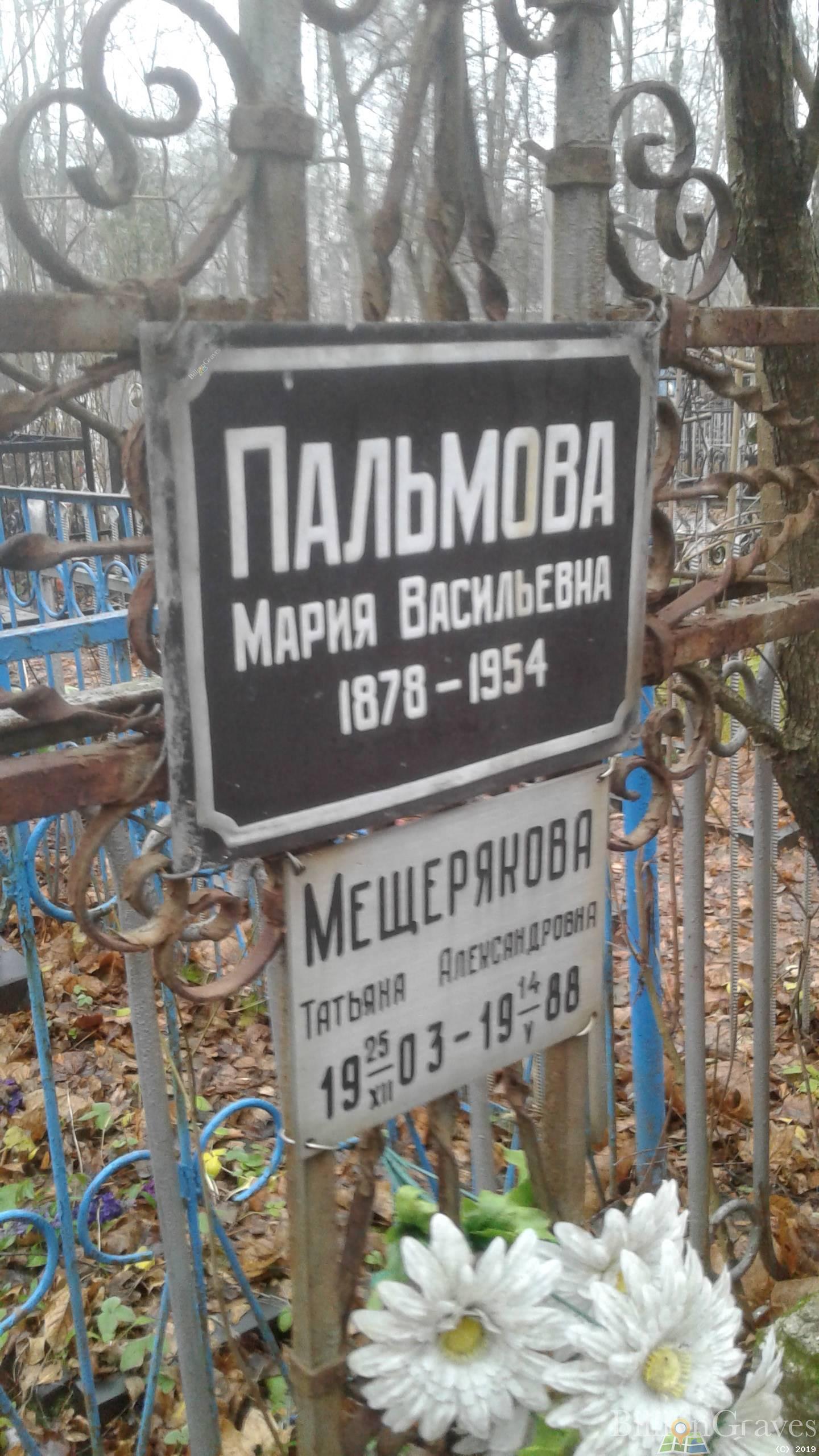 Мещерякова Татьяна Александровна