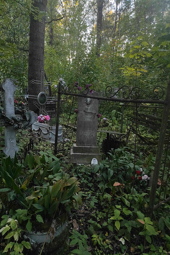 Шмелев Сергей Михайлович