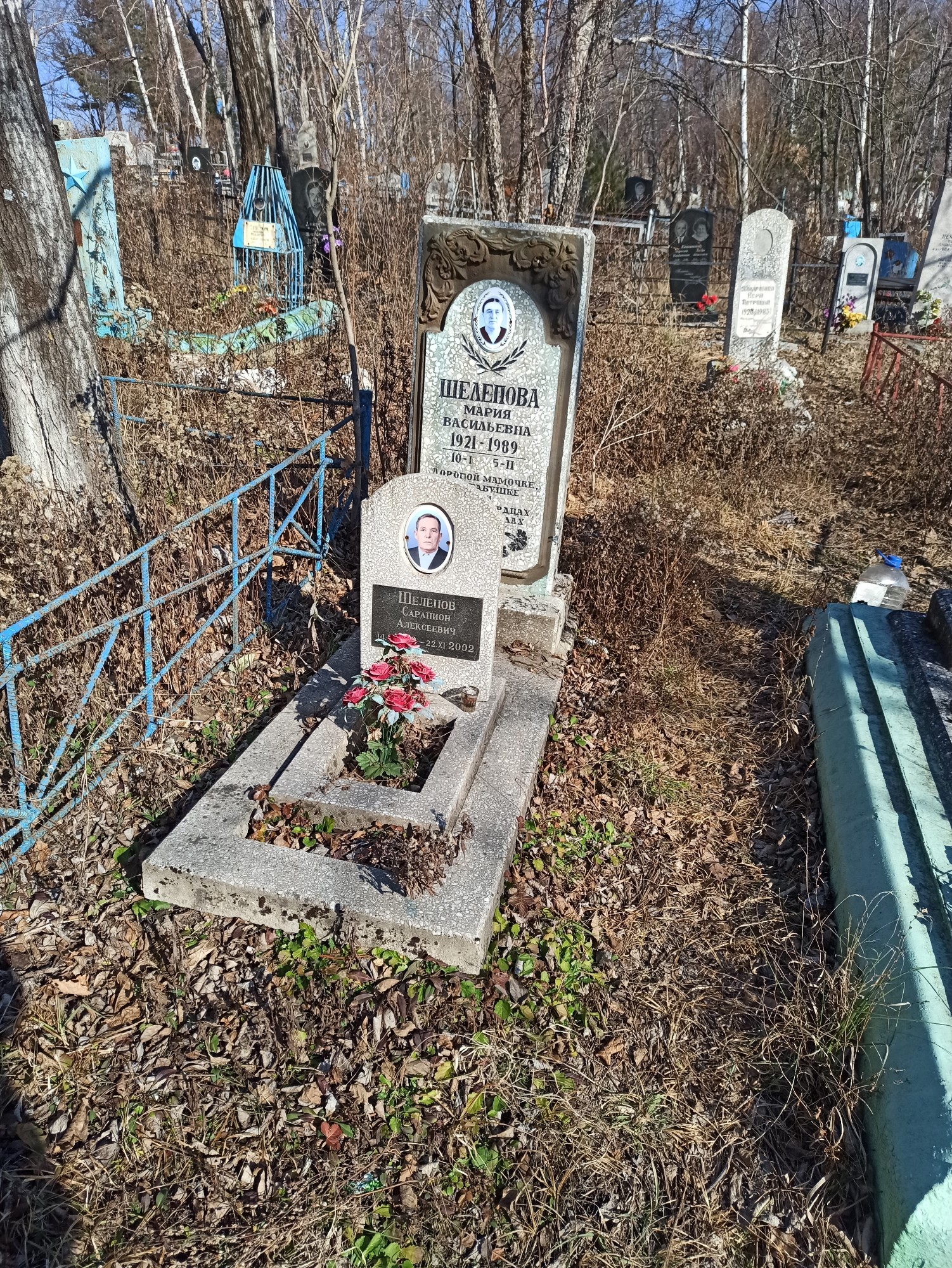 Шелепов Сарапион Алексеевич