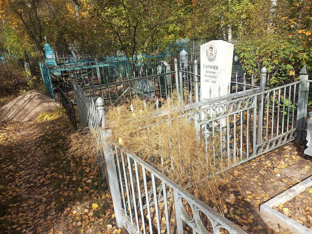 Горячев Вячеслав Михайлович