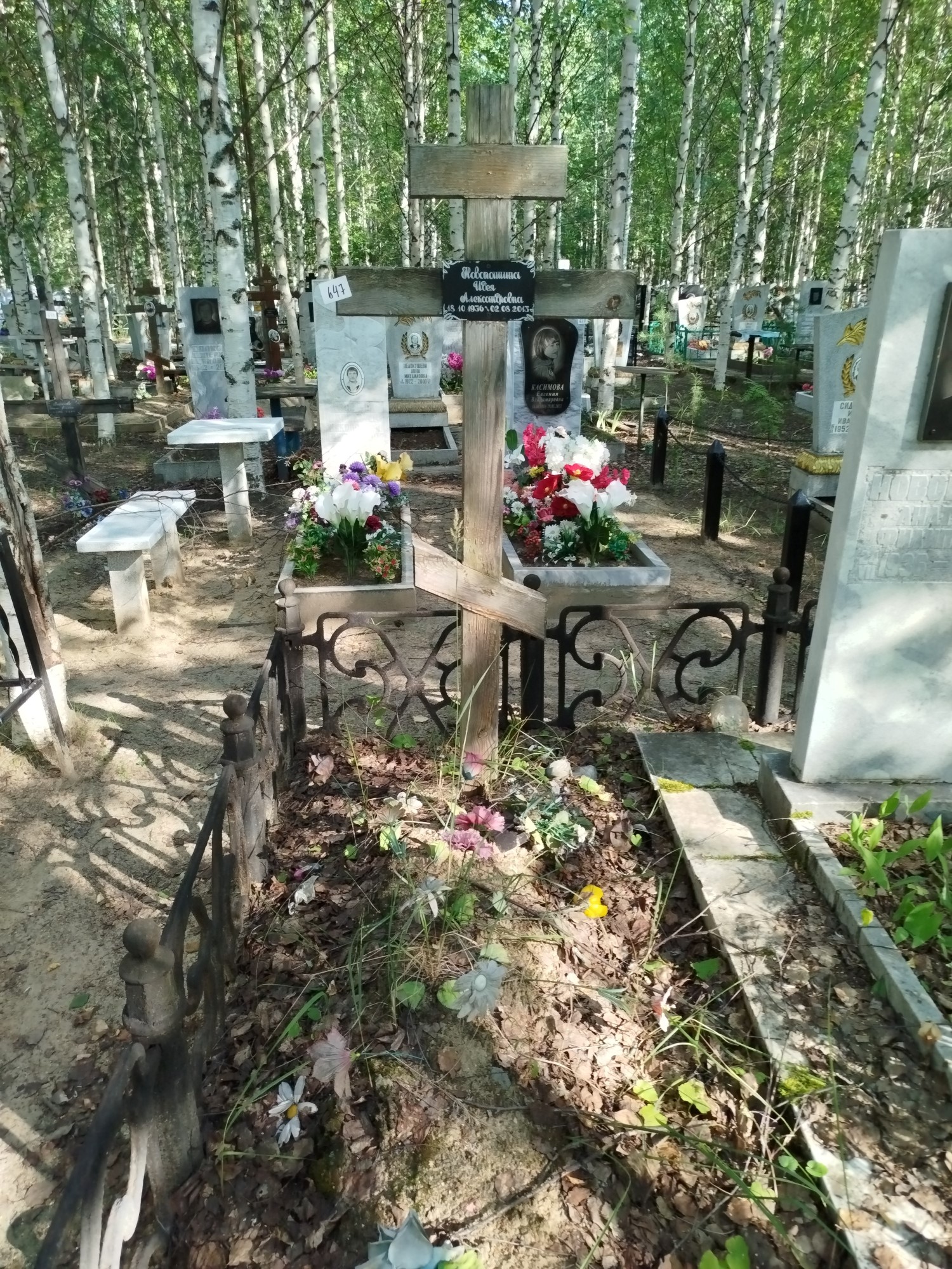Новопашина Идея Александровна