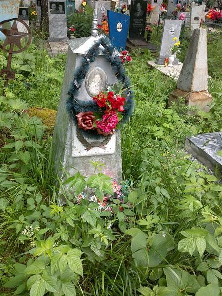 Добрынин Н. А.