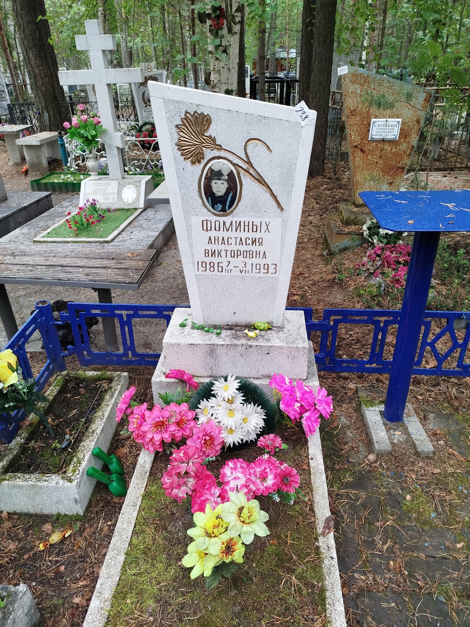 Фоминых Анастасия Викторовна