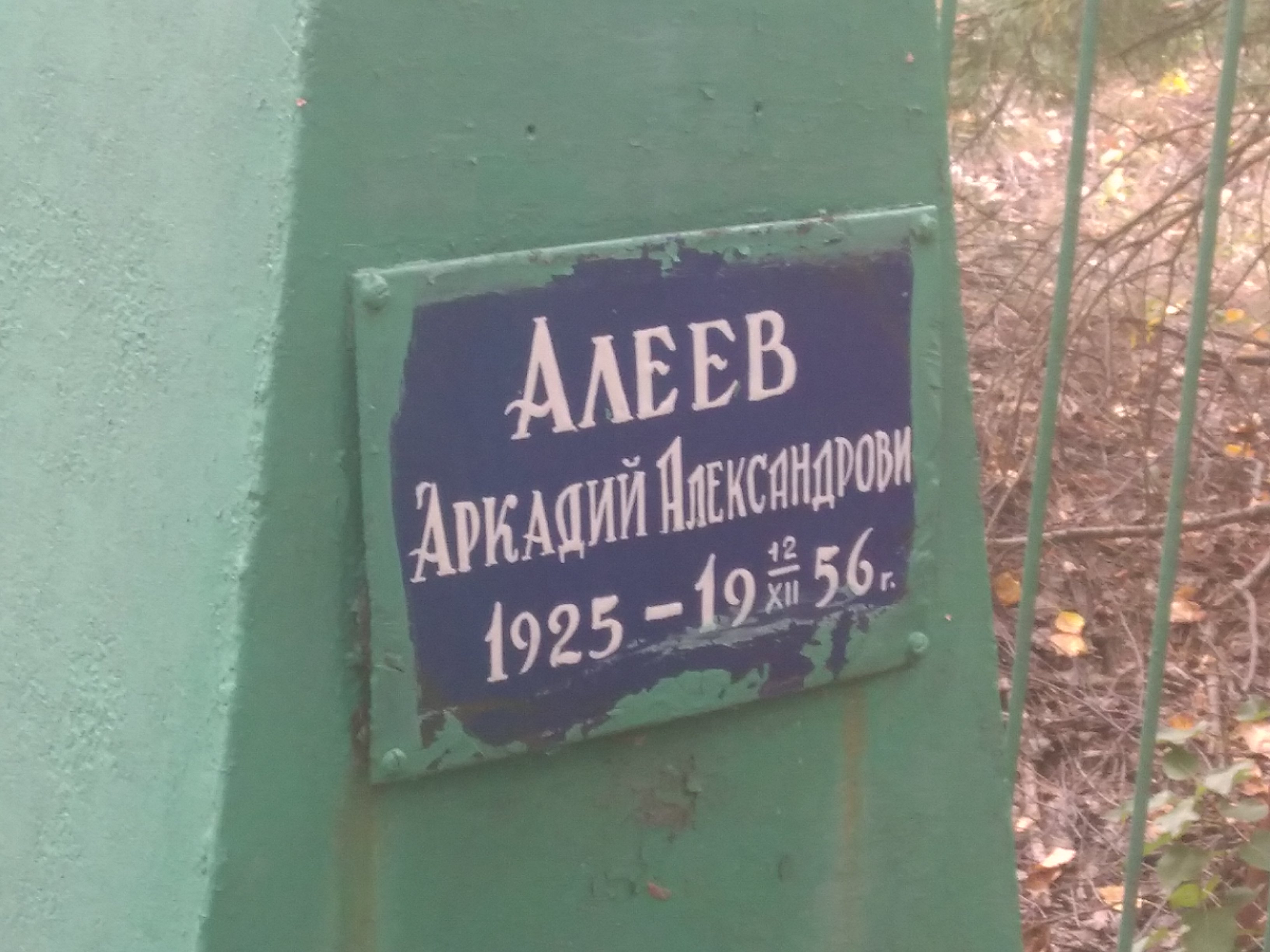 Алеев Аркадий Александрович