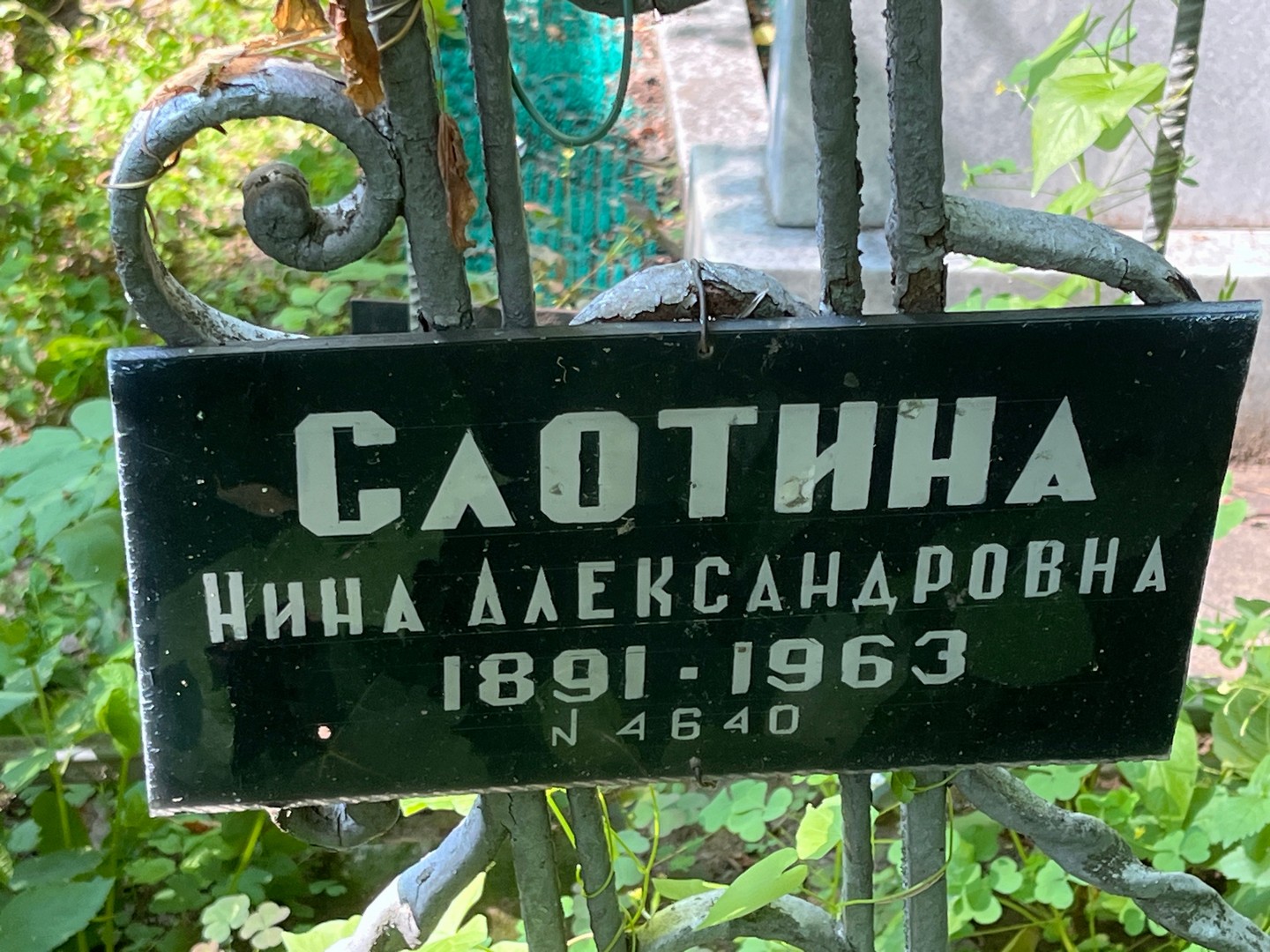 Слотина