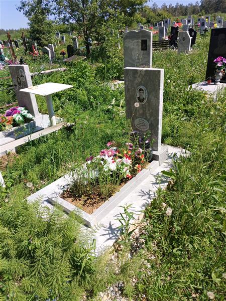 Теплых Александр Александрович