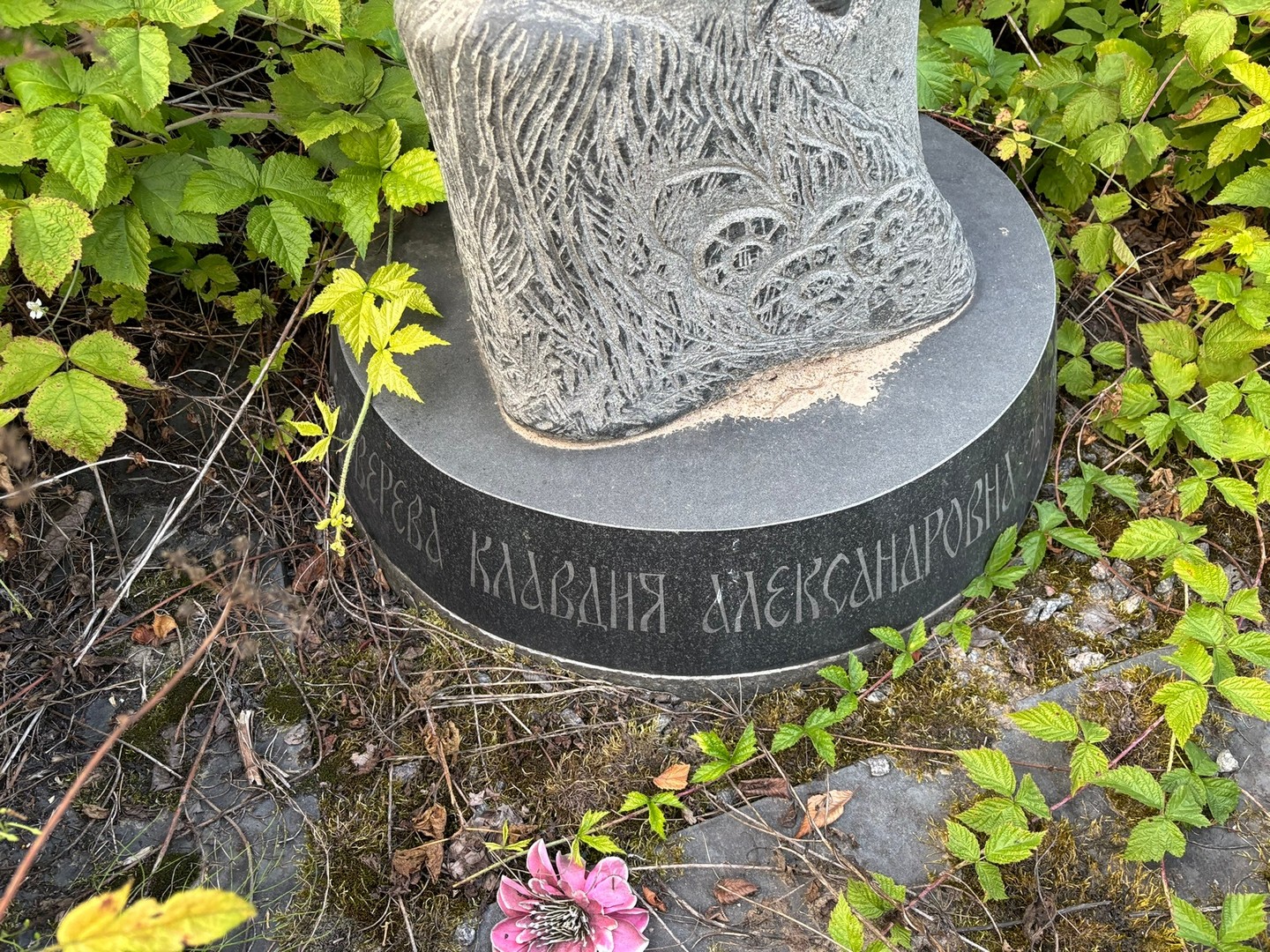 Зверева
