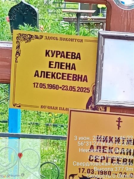 Кураева Елена Алексеевна