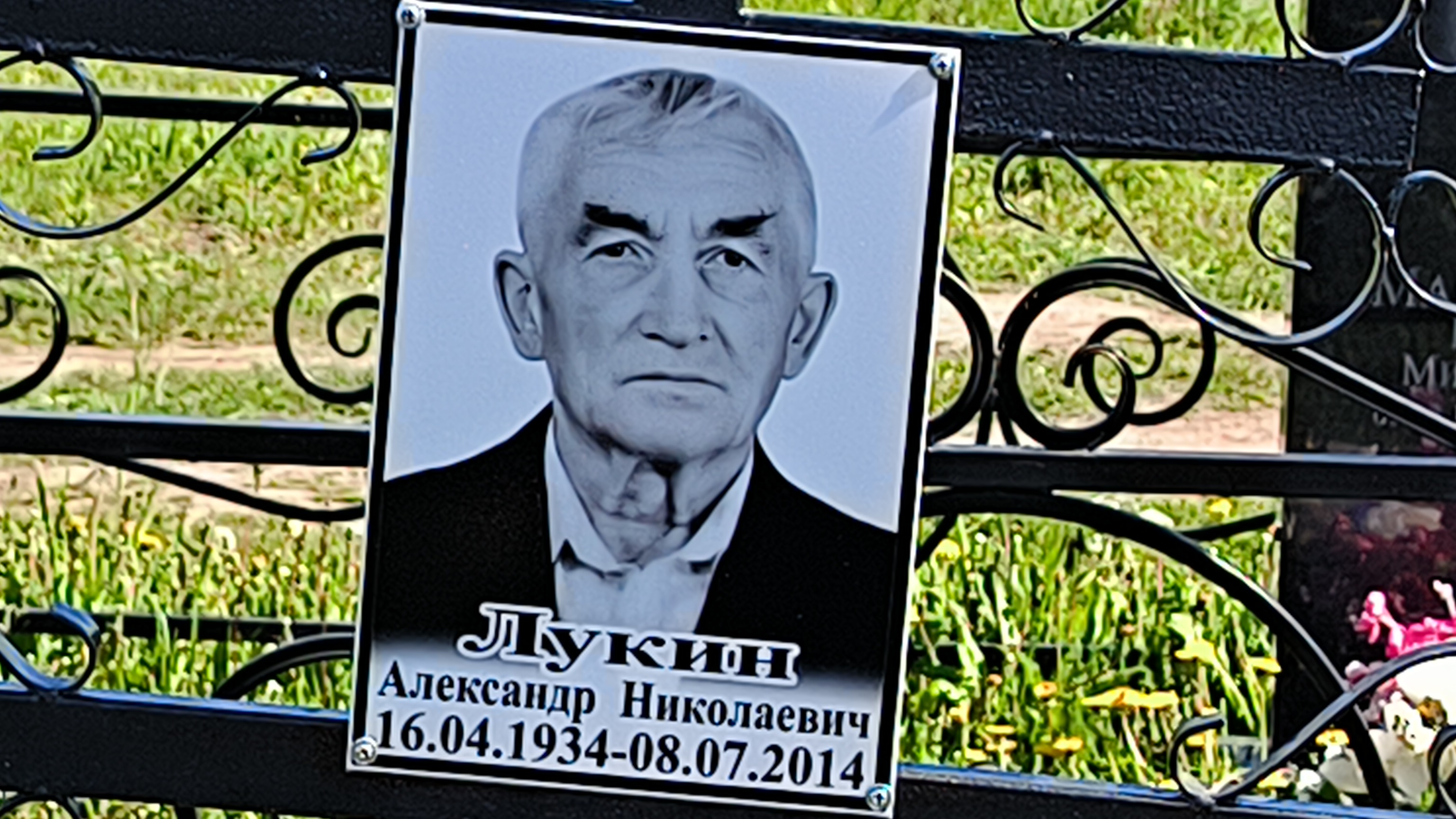 Лукин Александр Николаевич