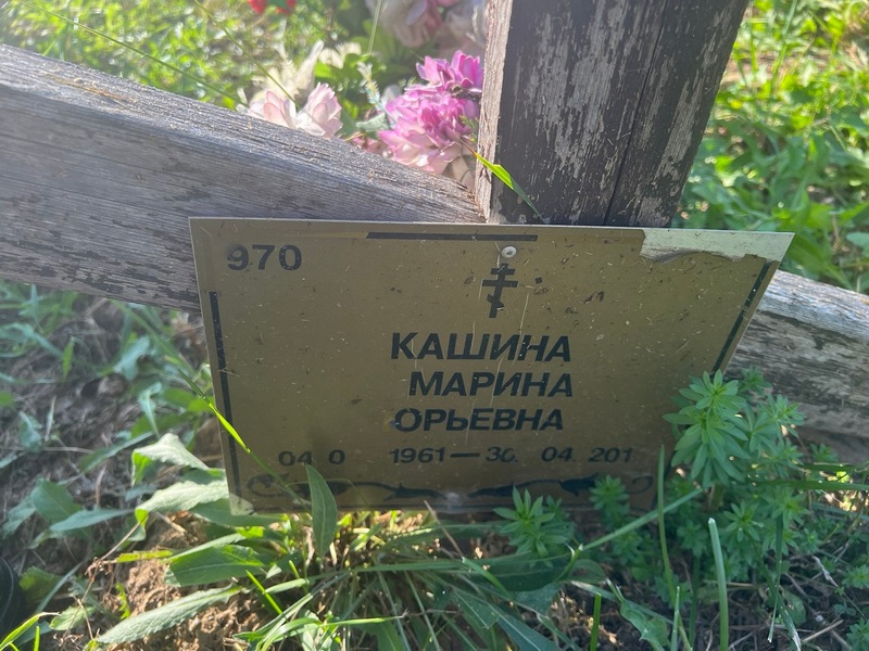 Кашина