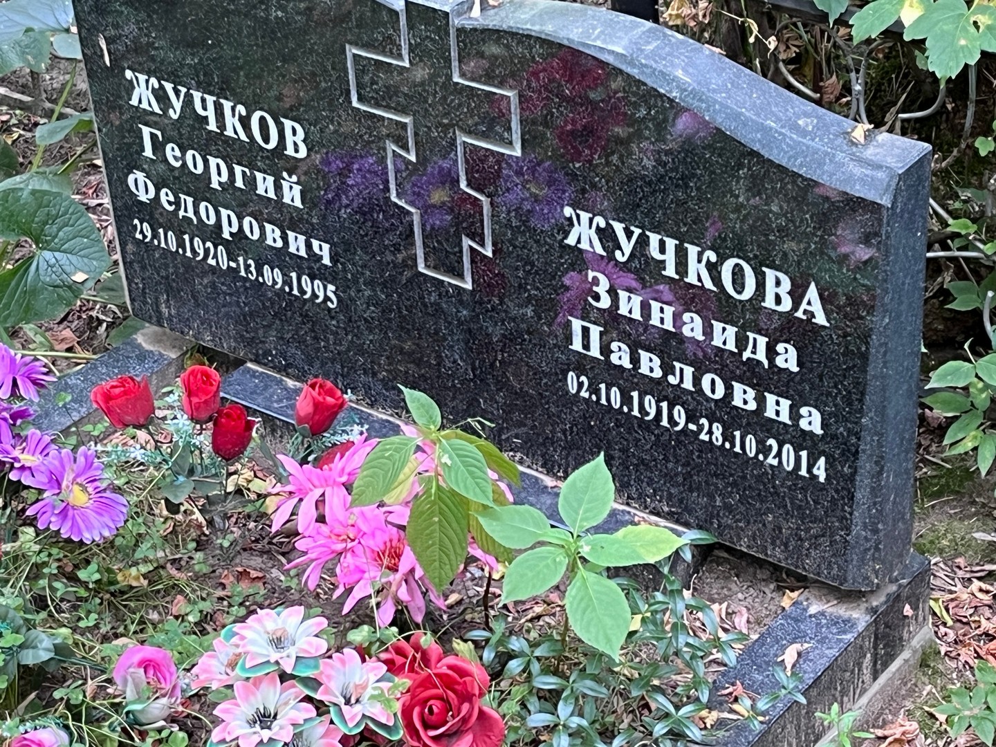 Жучков
