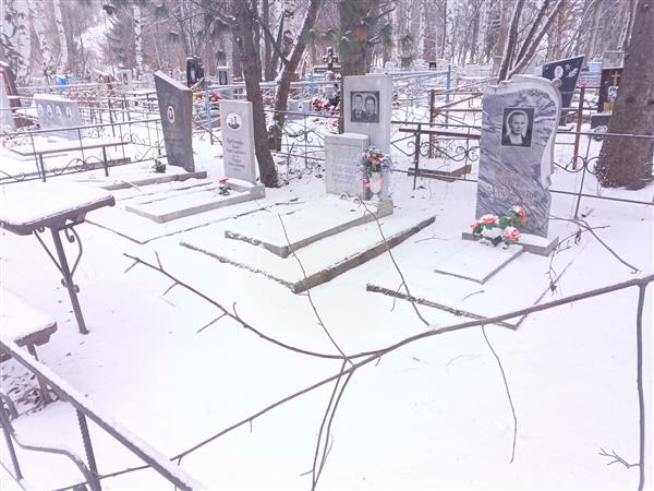 Гладких Янина Адольфовна