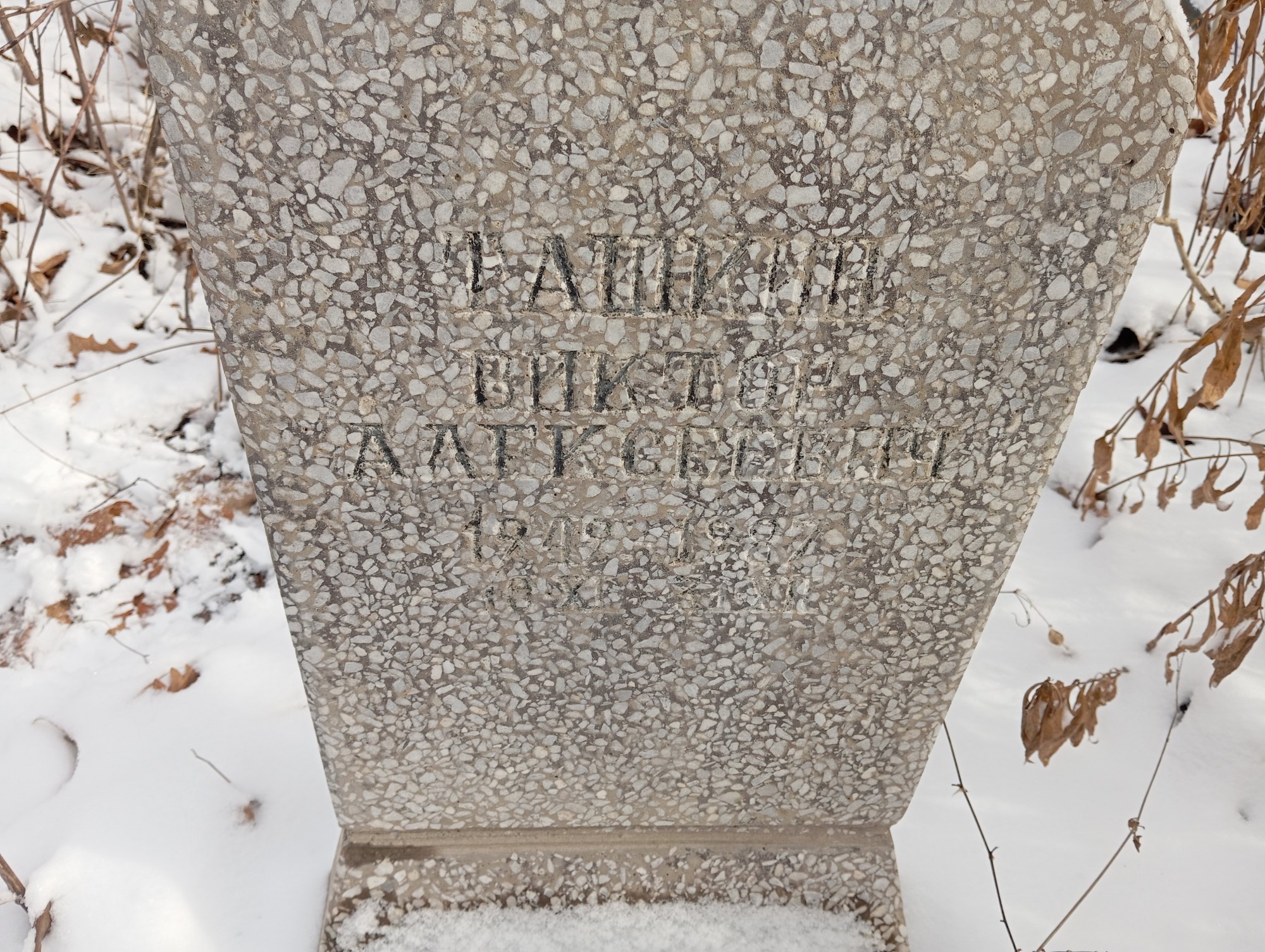 Ташкин Виктор Алексеевич