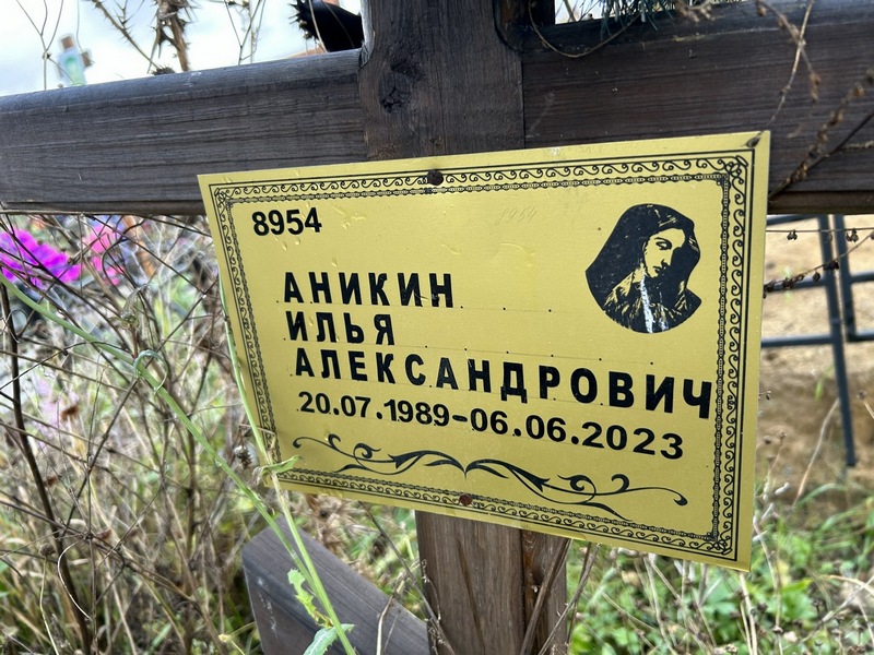 Аникин