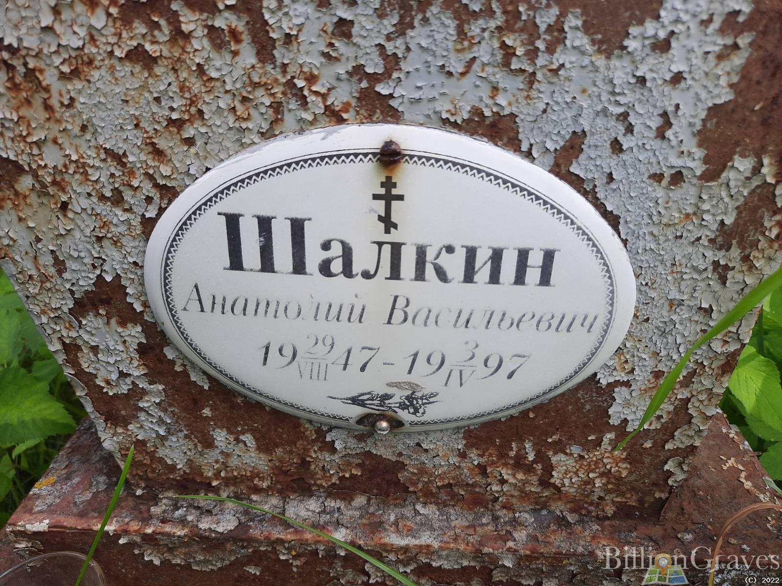 Шалкин Анатолий Васильевич
