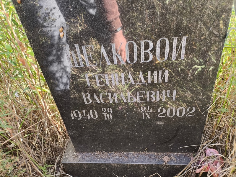 Шелковой