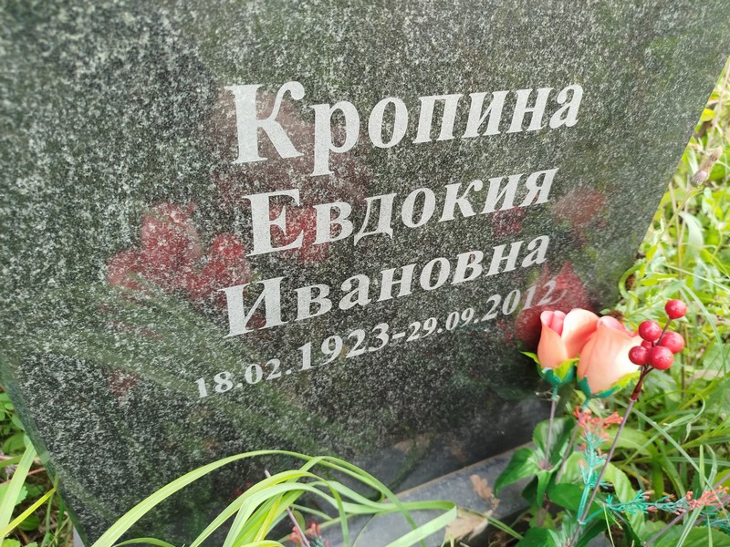 Кропина