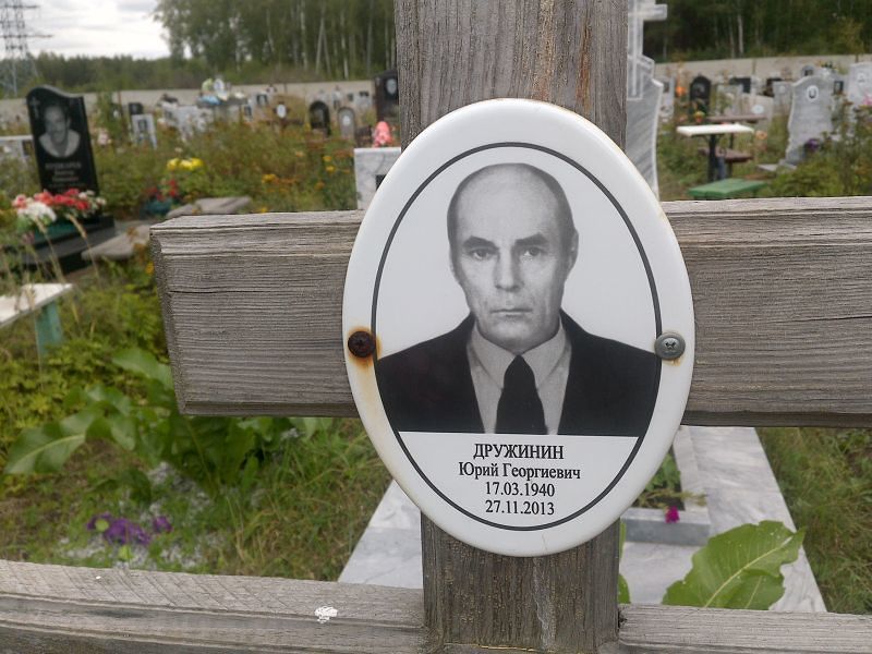 Дружинин