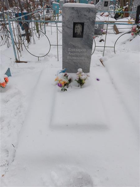 Елизаров Анатолий Яковлевич