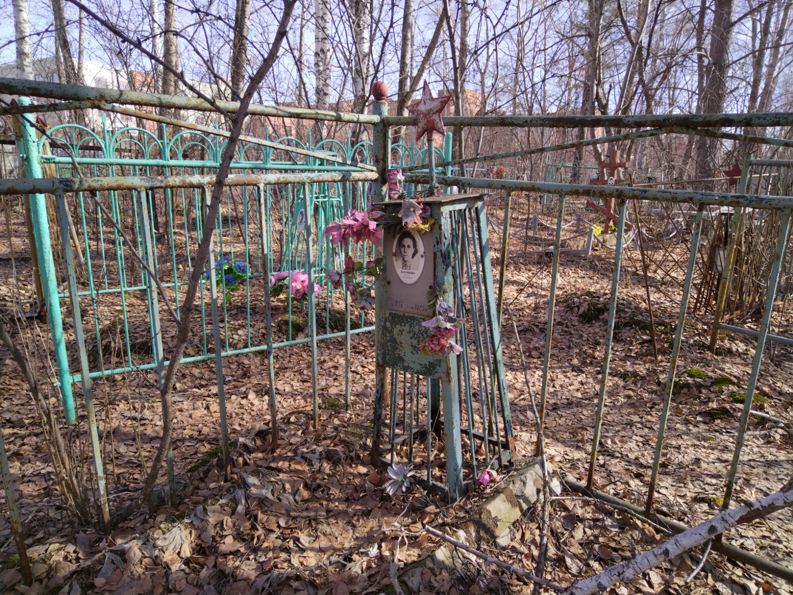 Кострикина Нина Васильевна