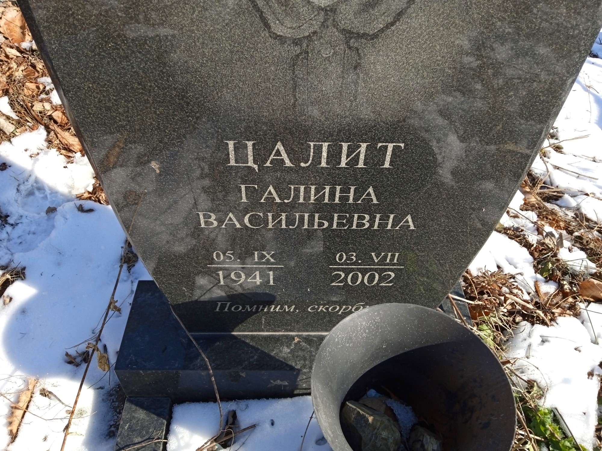 Цалит Галина Васильевна