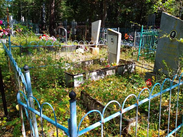 Родина Елизавета Григорьевна