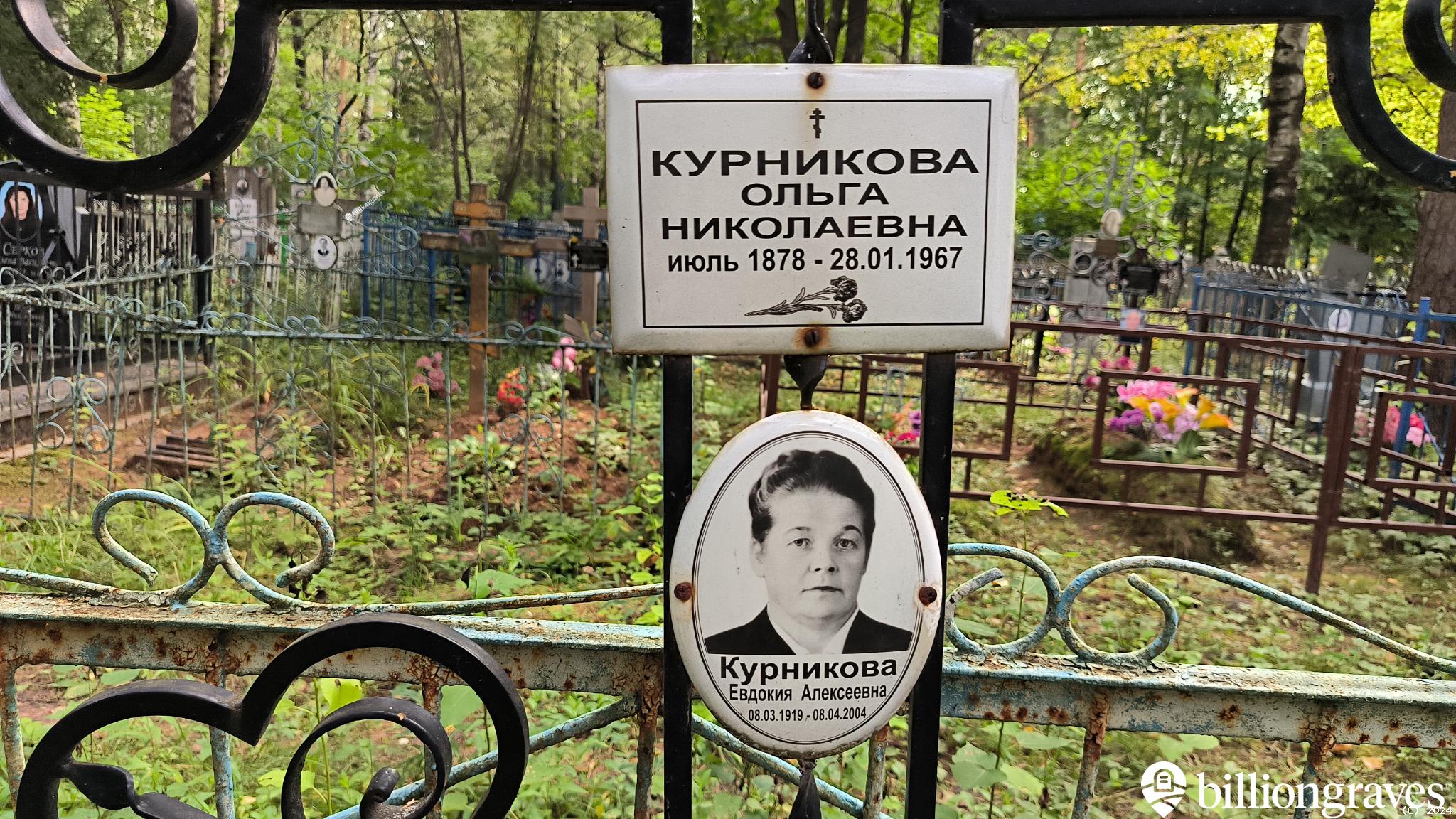 Курникова Евдокия Алексеевна