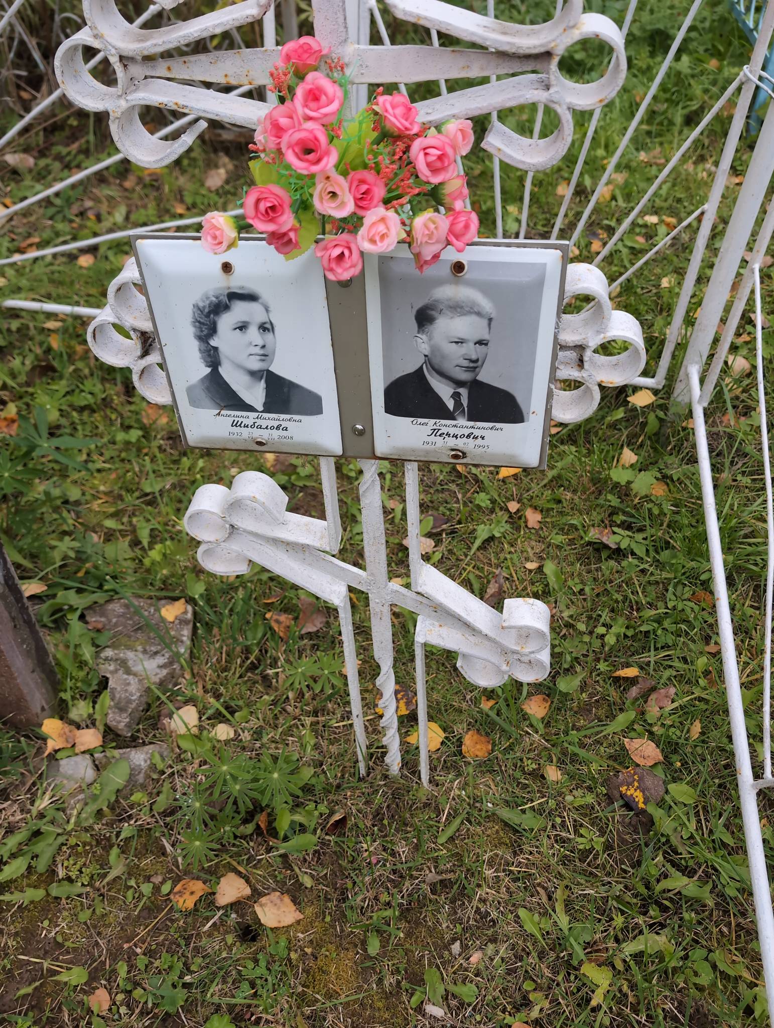 Шибалова Ангелина Михайловна