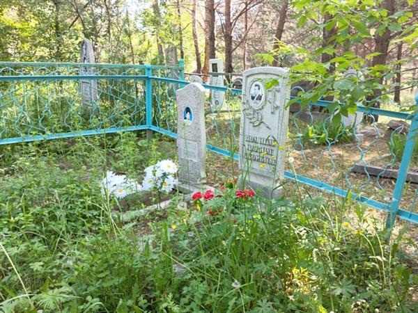 Пичугина Лилия Давыдовна