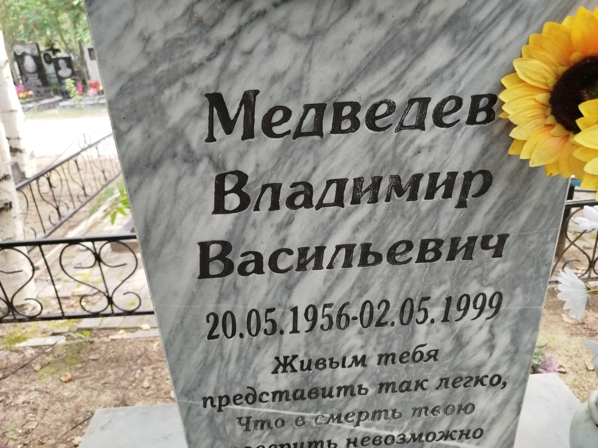 Медведев Владимир Васильевич