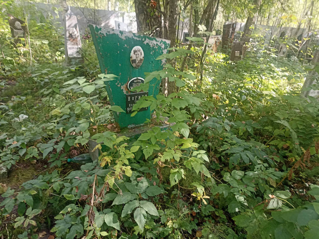 Ногина Софья Алексеевна