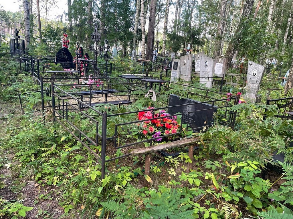 Молочников Александр Евгеньевич