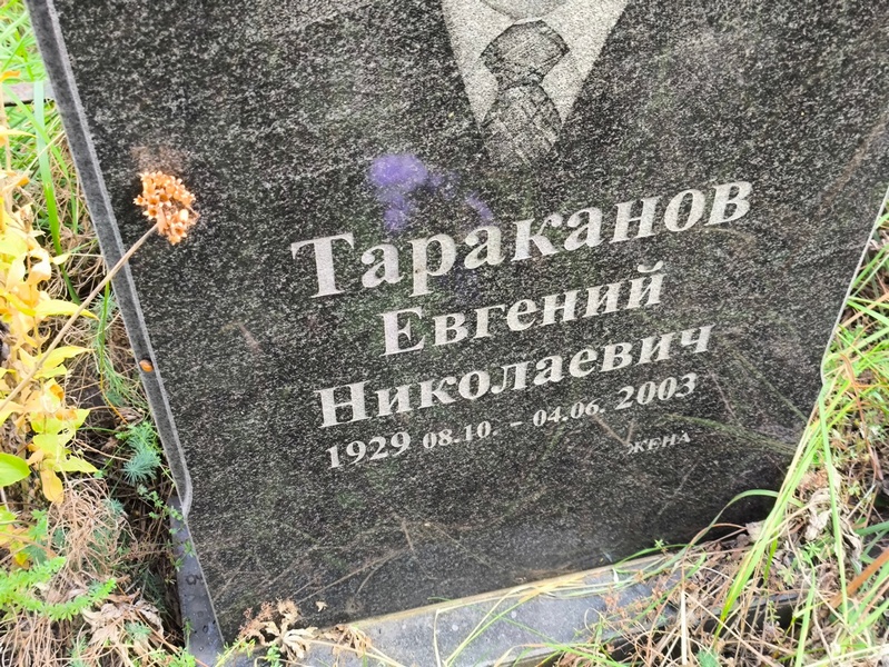 Тараканов