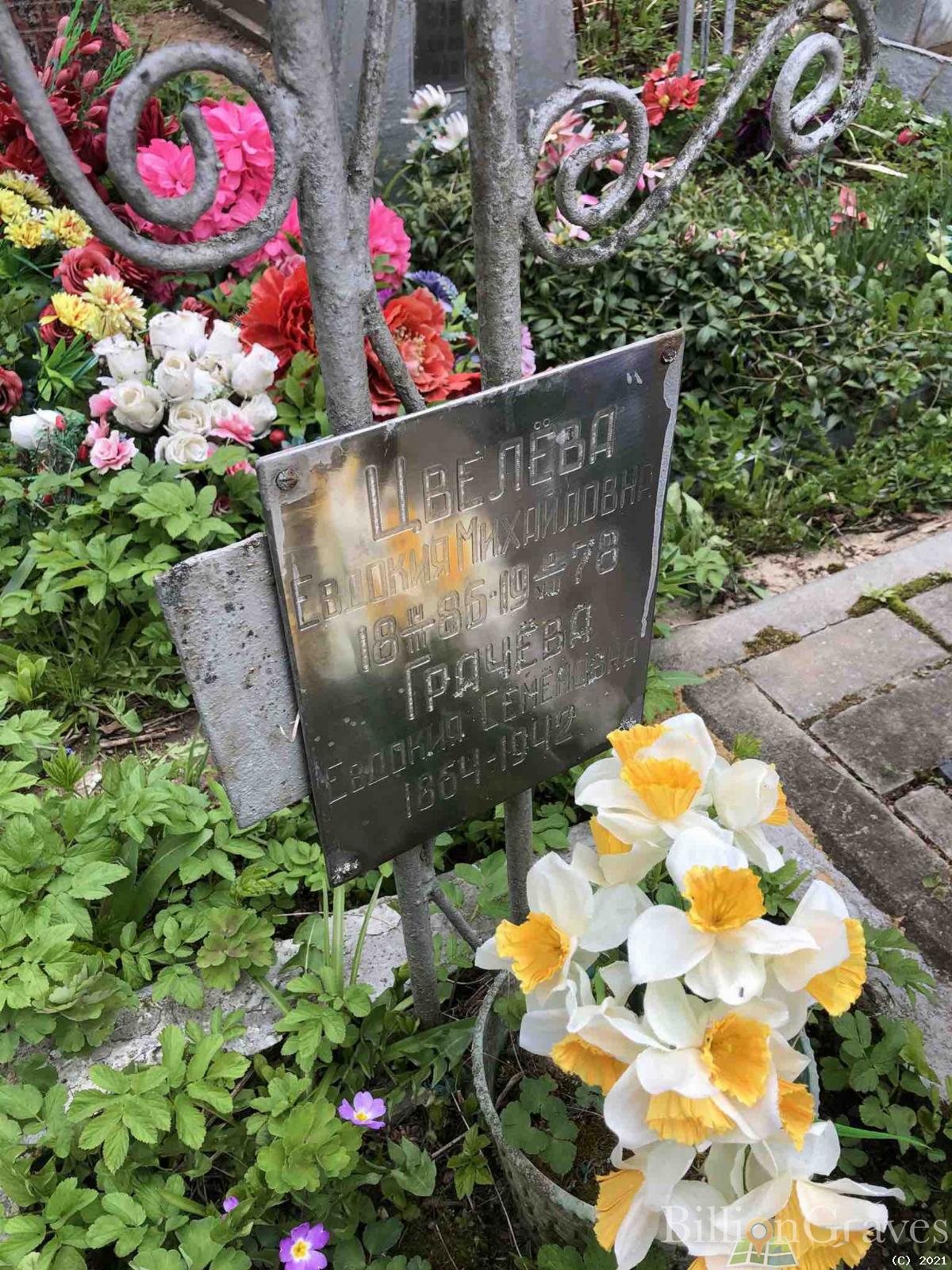 Цвелёва Евдокия Михайловна