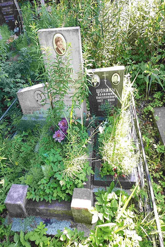 Чижова Екатерина Васильевна