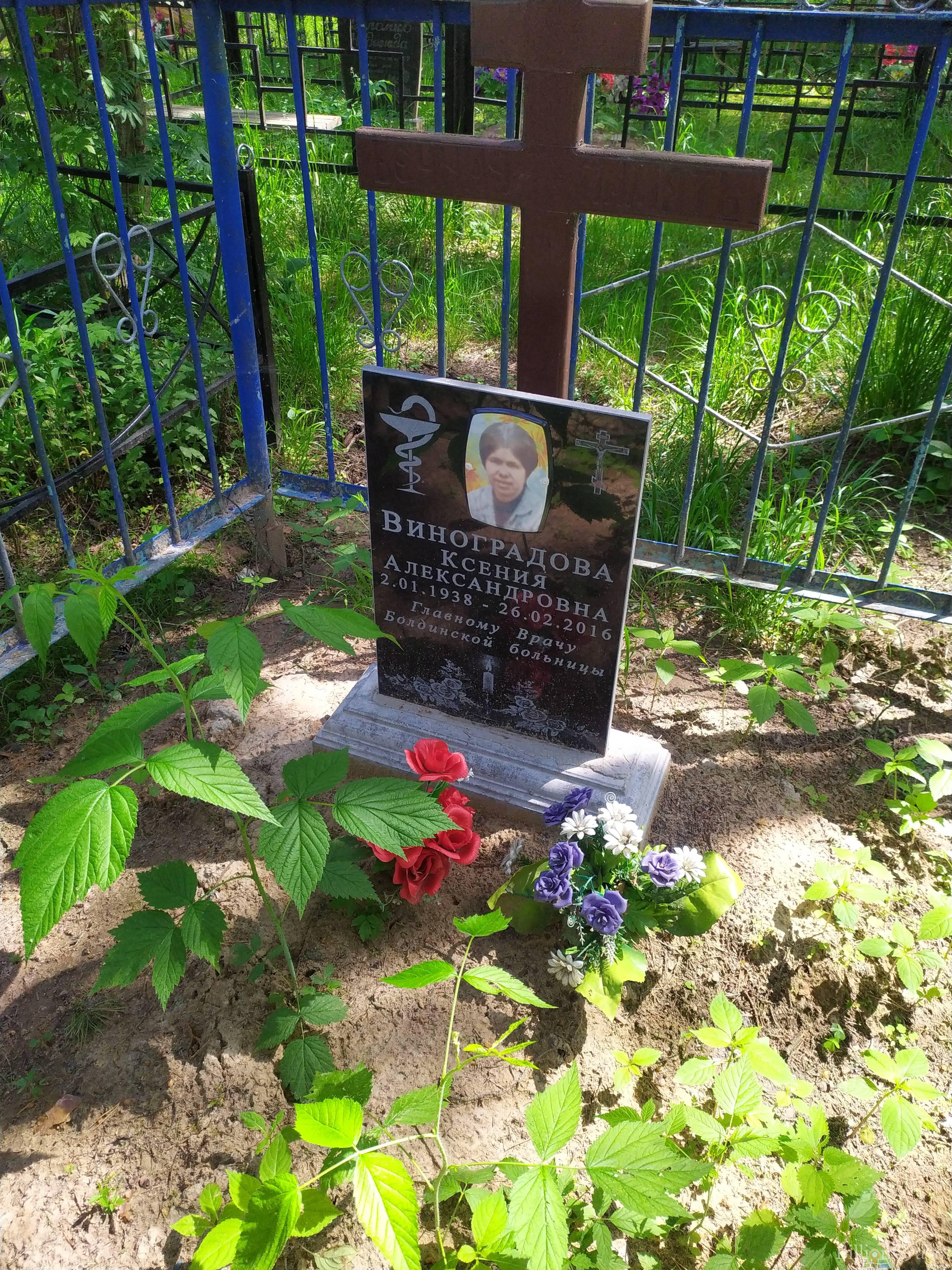 Виноградова Ксения Александровна