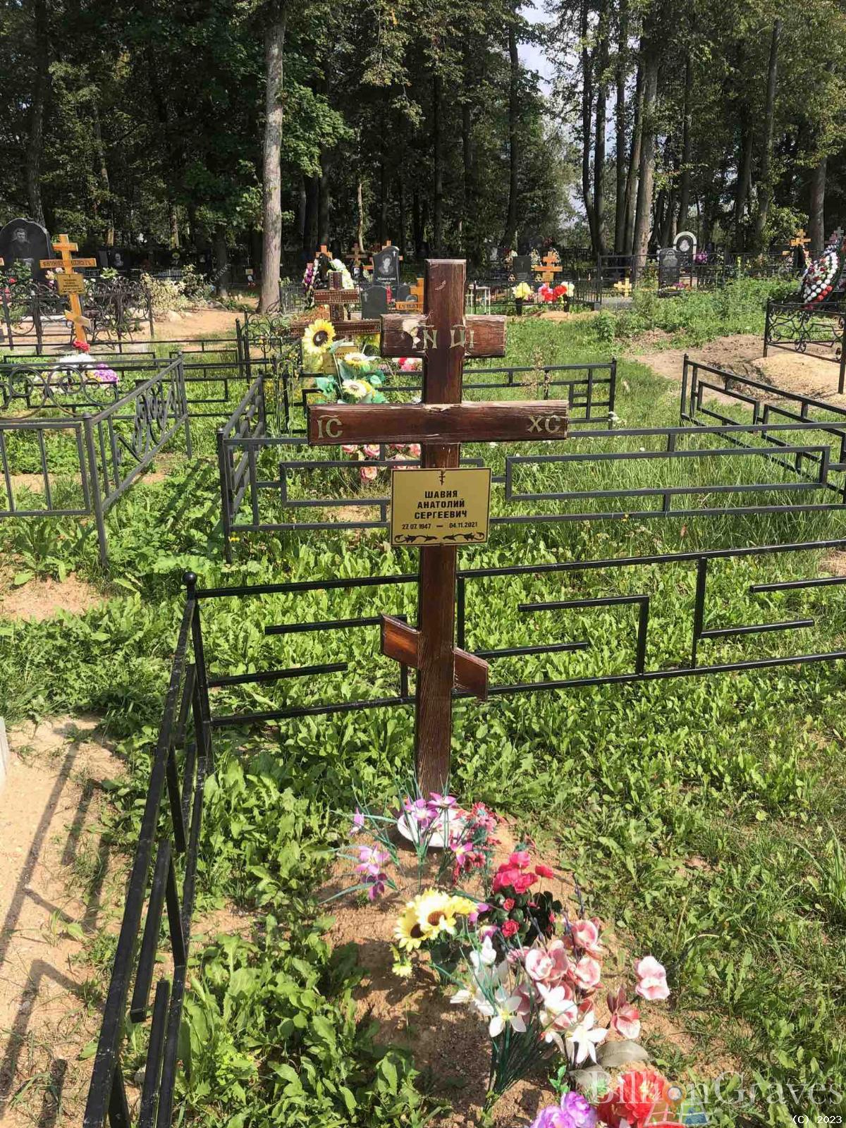 Шавня Анатолий Сергеевич