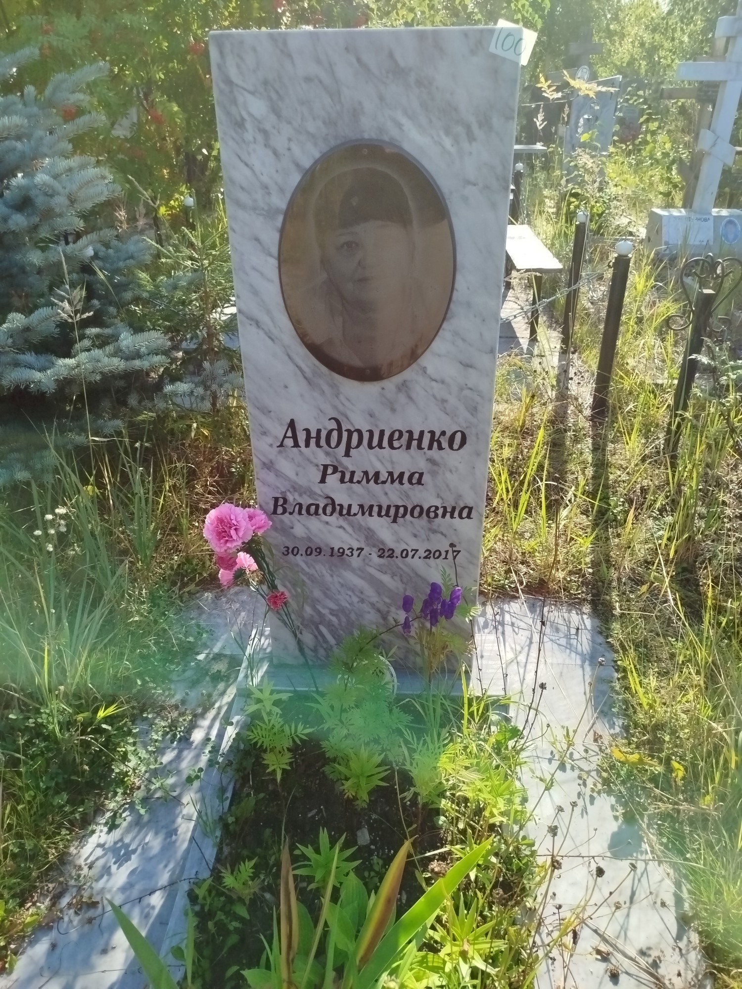 Андриенко Римма Владимировна