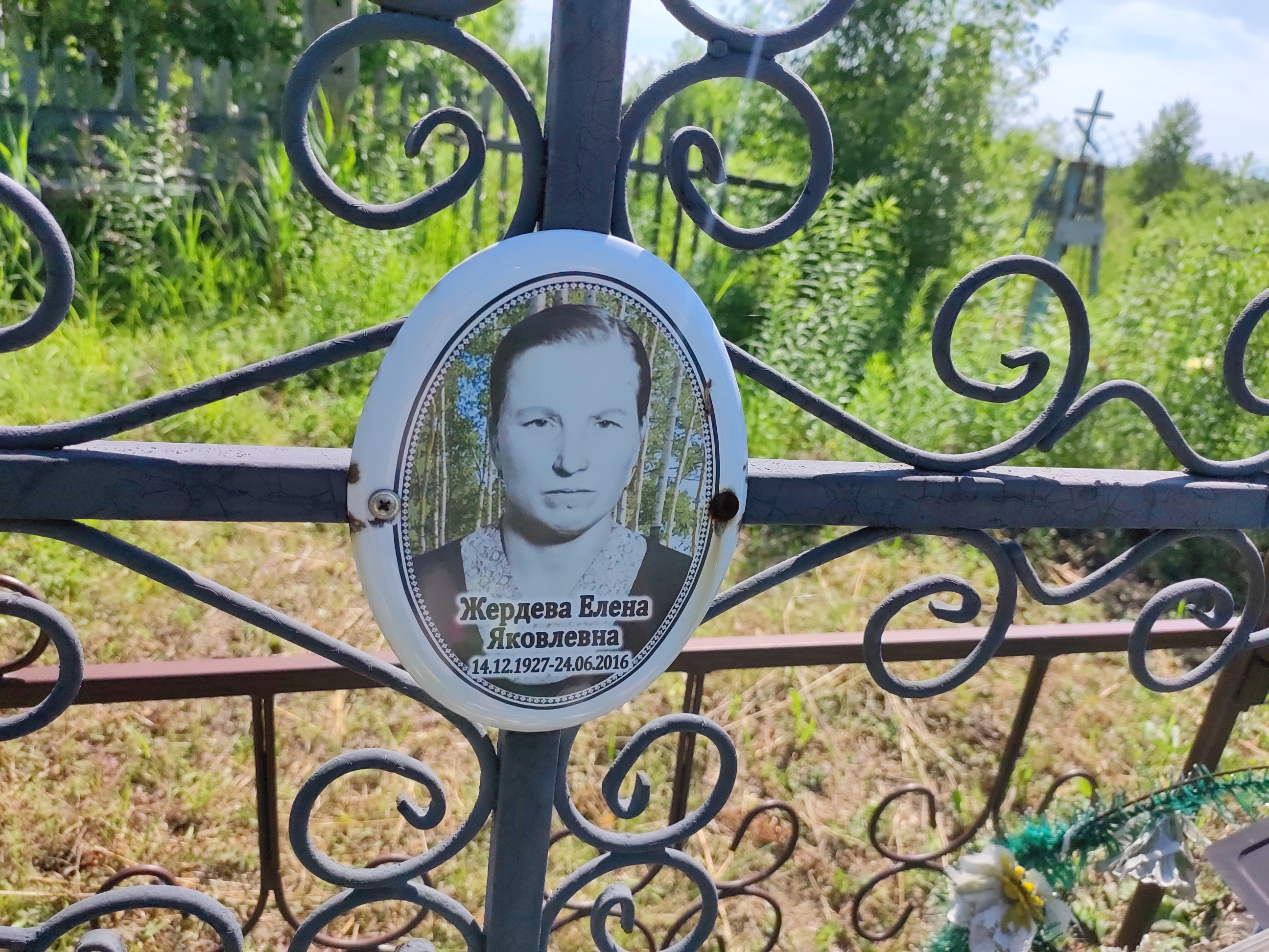 Жердева Елена Яковлевна